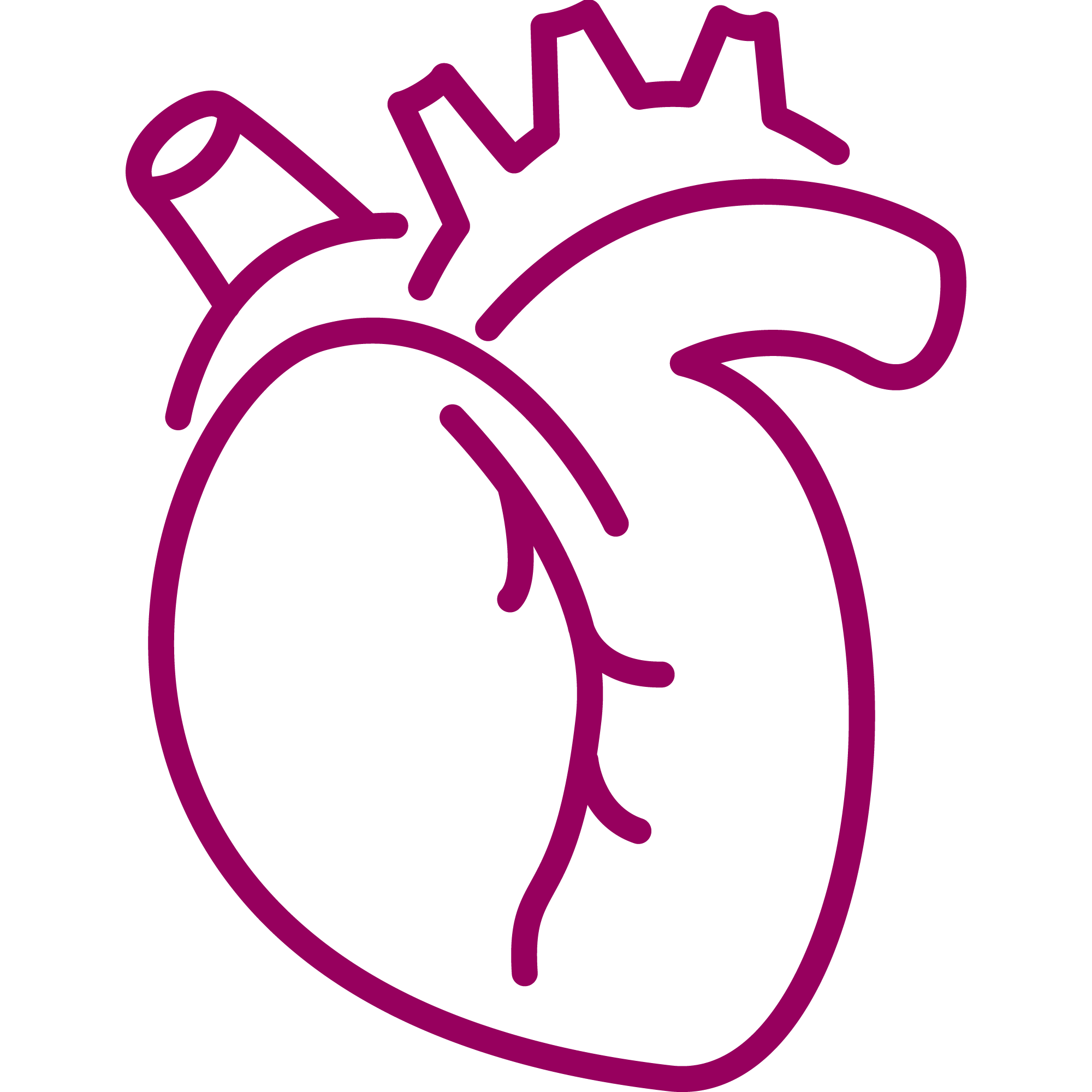 Paediatric Cardiology