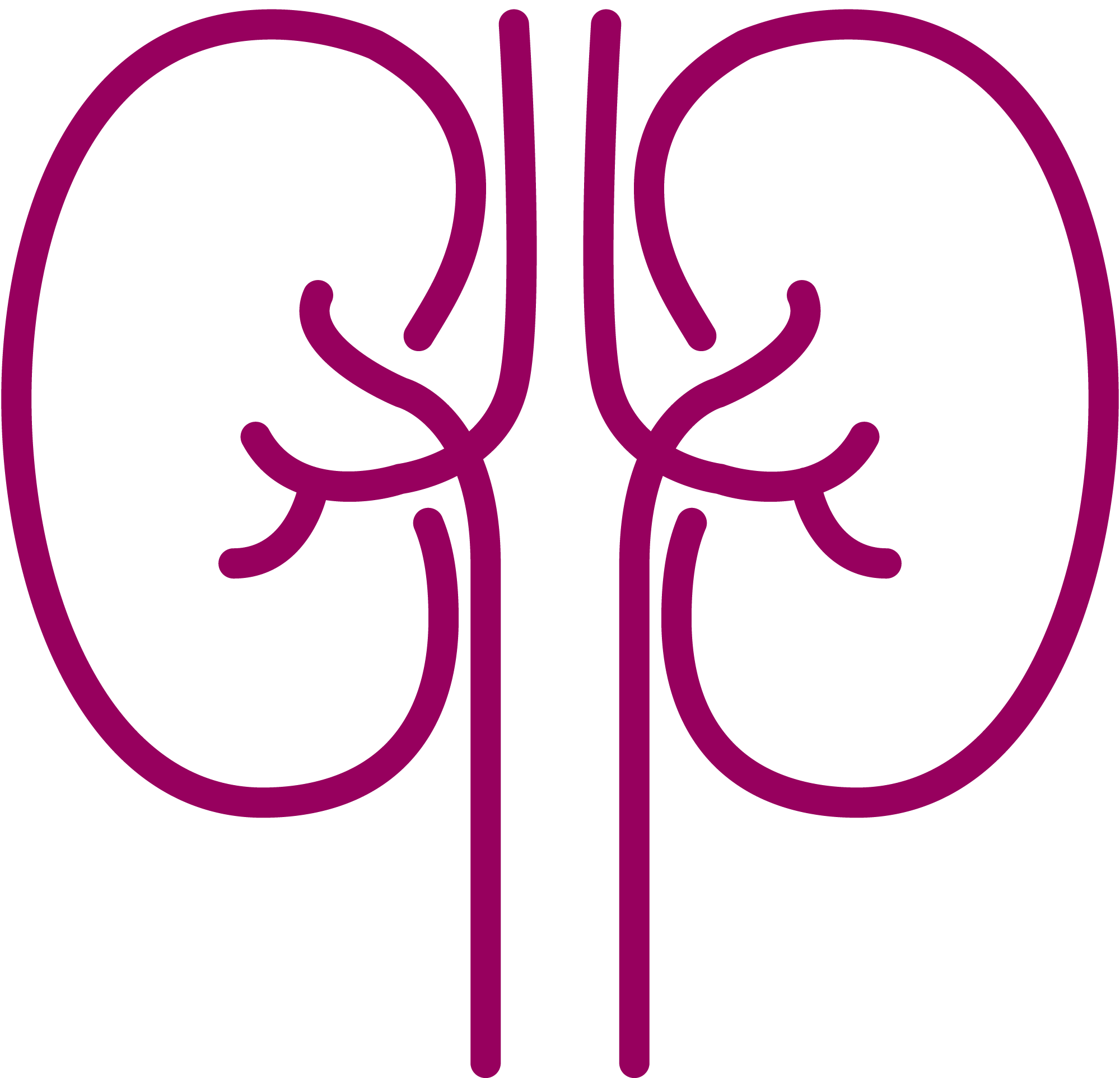 Paediatric Nephrology